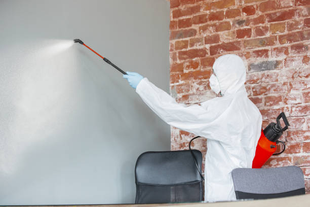 Best Mold-Related Health Consultation  in New Miami, OH