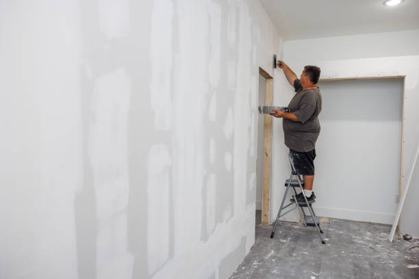Best Real Estate Mold Inspection  in New Miami, OH